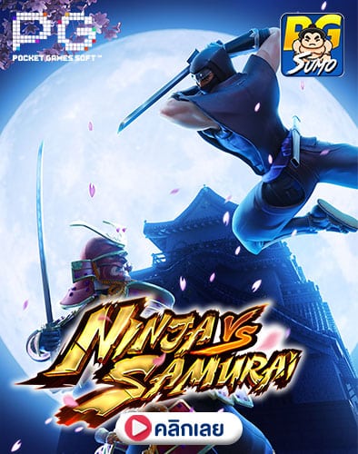 Ninja vs Samurai